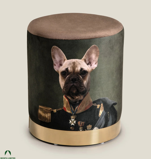 Deco Cushion