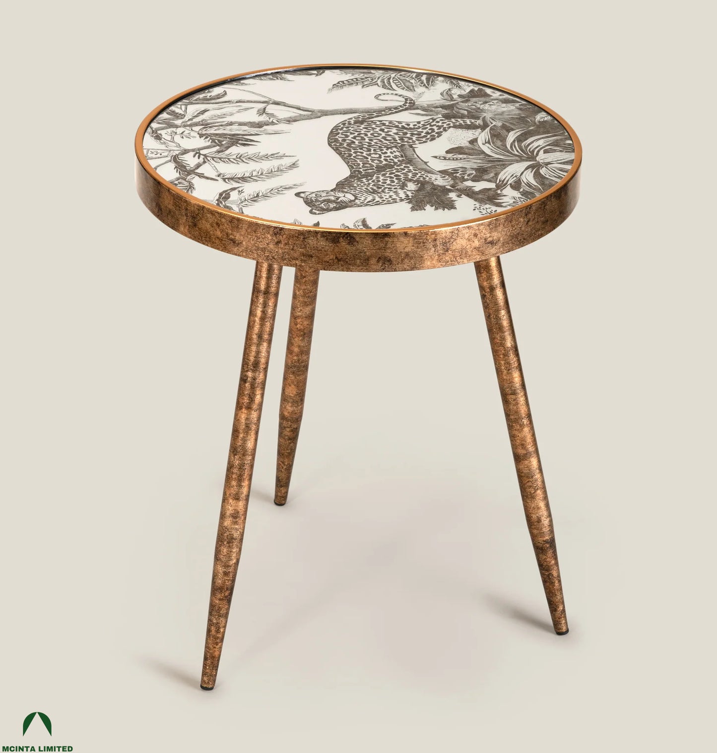 Botoni Fiberglass and Metal Side Table